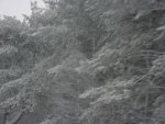 DSC00780