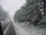 DSC00782