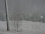 DSC00784