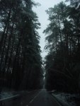 DSC00789