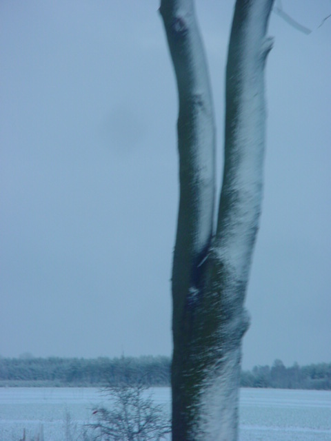 DSC00791