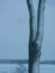 DSC00791