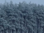 DSC00793