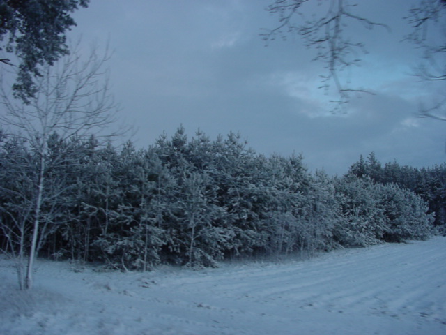 DSC00795