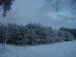 DSC00795