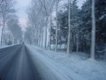 DSC00799