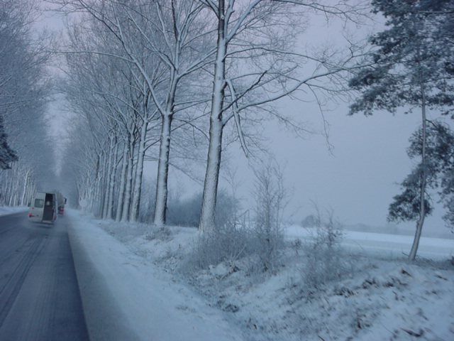 DSC00800