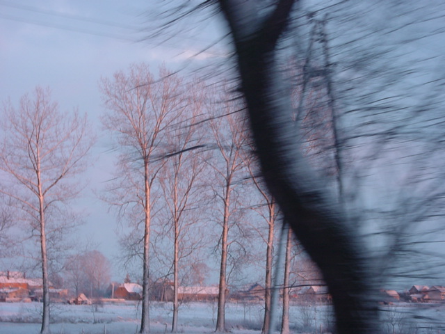DSC00801