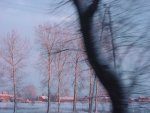 DSC00801