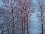 DSC00802