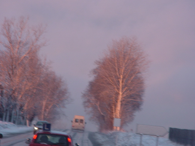 DSC00803