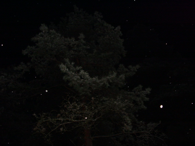 DSC00810