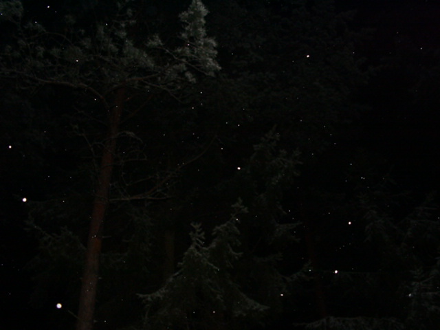 DSC00811