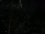 DSC00811