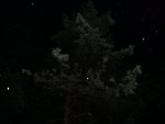 DSC00812