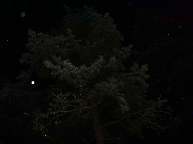 DSC00814