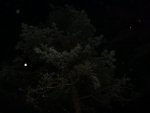 DSC00814