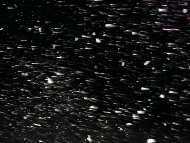 DSC00818