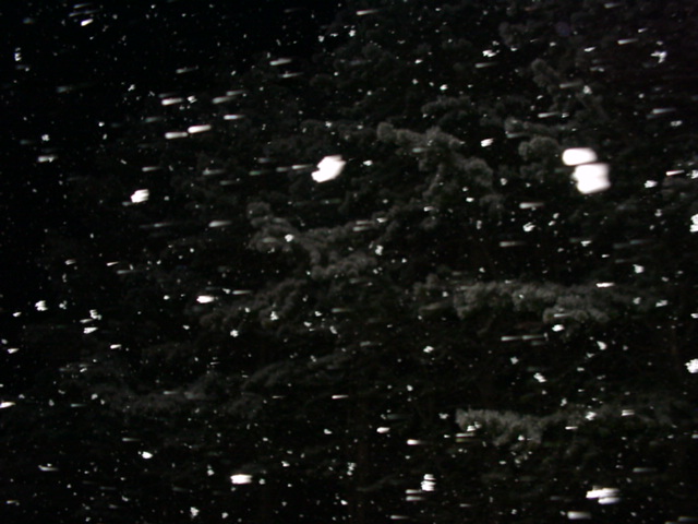 DSC00821