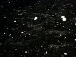 DSC00821