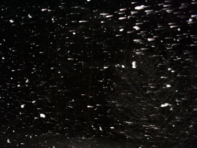 DSC00822