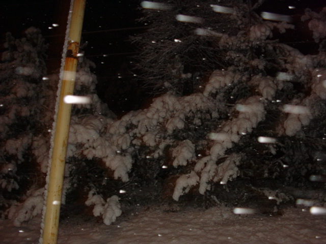 DSC00831