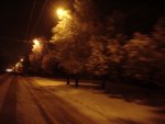 DSC00835