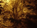 DSC00836