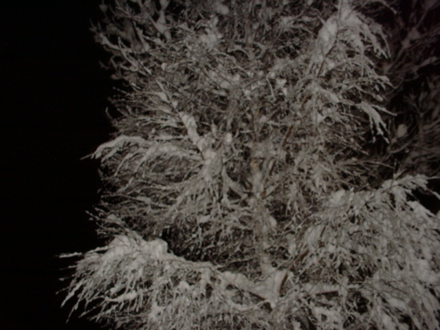 DSC00841