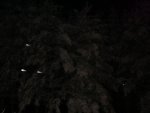 DSC00843
