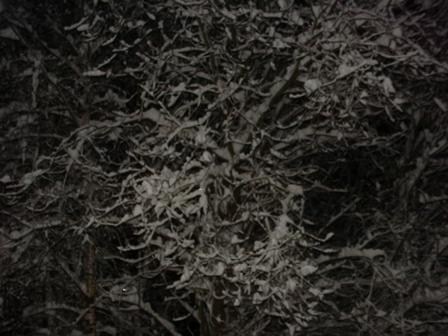 DSC00844