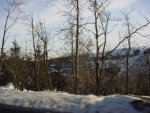 DSC00031