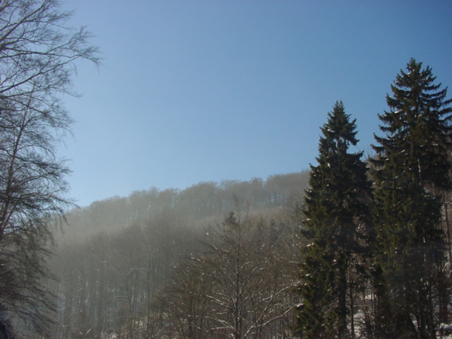DSC00093
