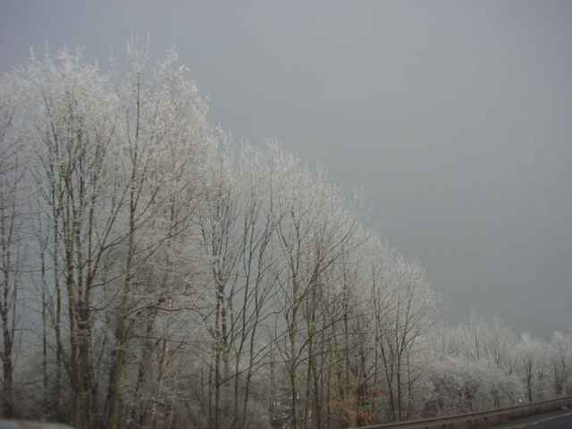 DSC00096