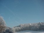 DSC00098
