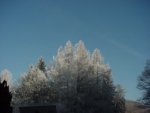 DSC00099