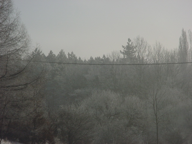 DSC00104