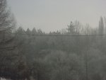DSC00104