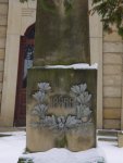 DSC00219