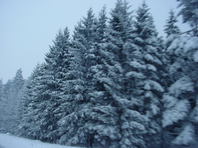 DSC00228
