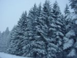 DSC00228