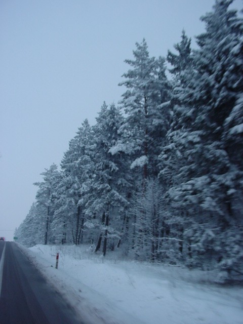 DSC00229