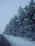 DSC00229