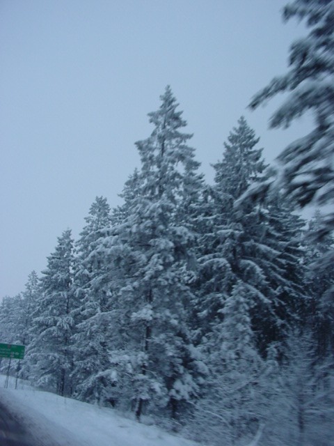 DSC00231