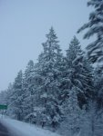 DSC00231
