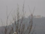 DSC00178