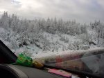 DSC00181