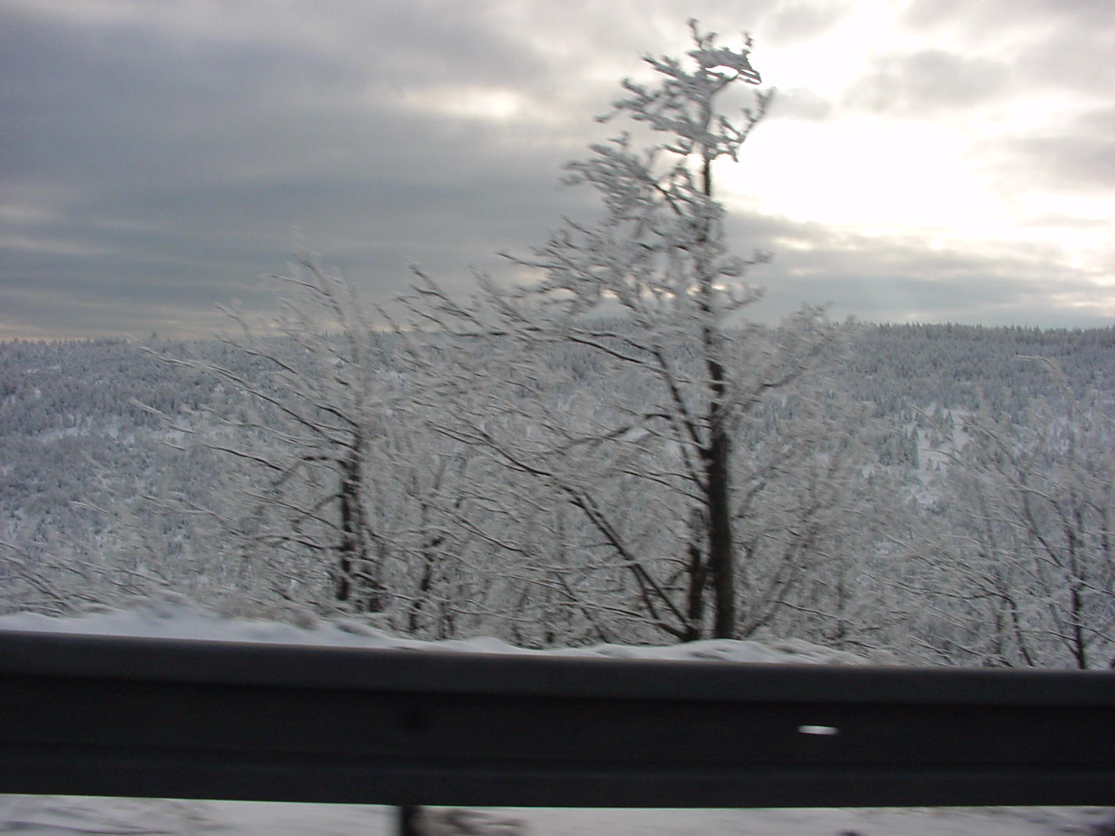 DSC00185