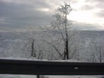 DSC00185
