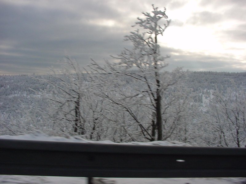 DSC00185
